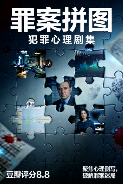美剧《罪案拼图》海报 - 犯罪心理剧集，豆瓣评分8.8